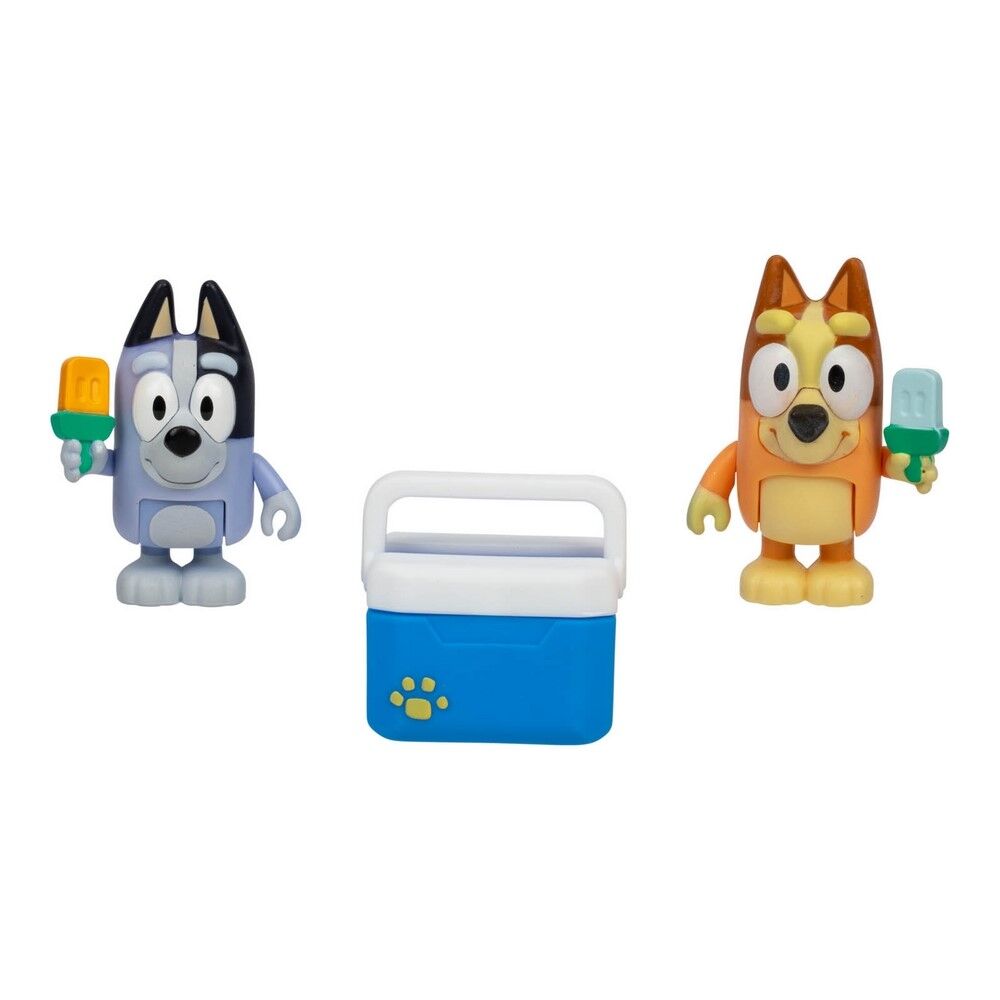 Bluey Includes Socks & Bingo - Ice Blocks