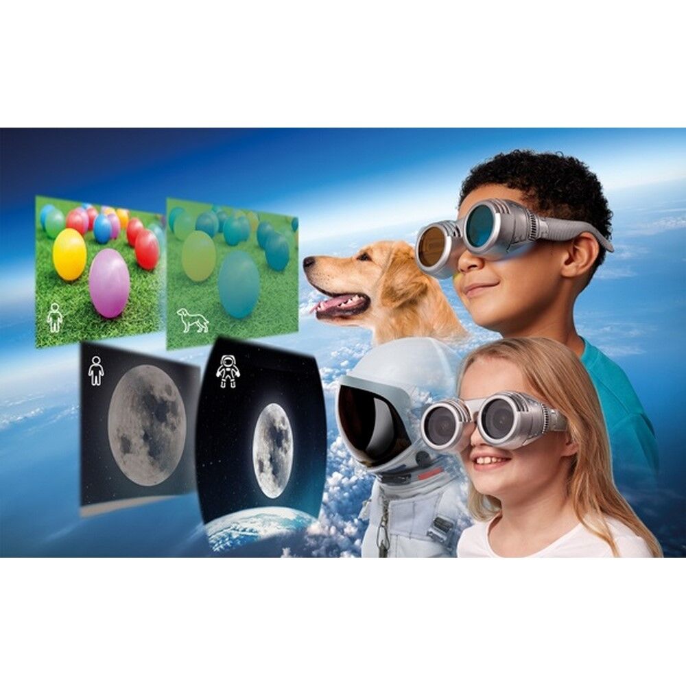 Brainstorm - See The World Through Others Eye