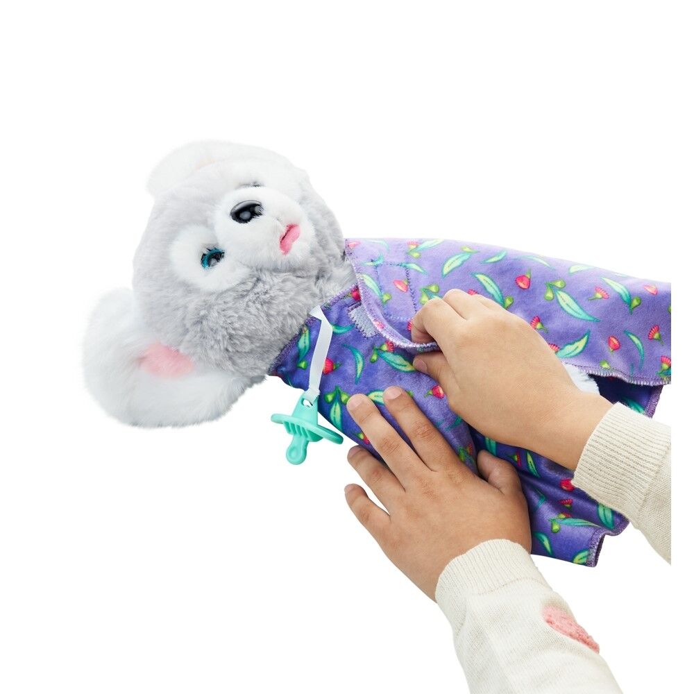 Little Live Pet Cozy Dozys Koala