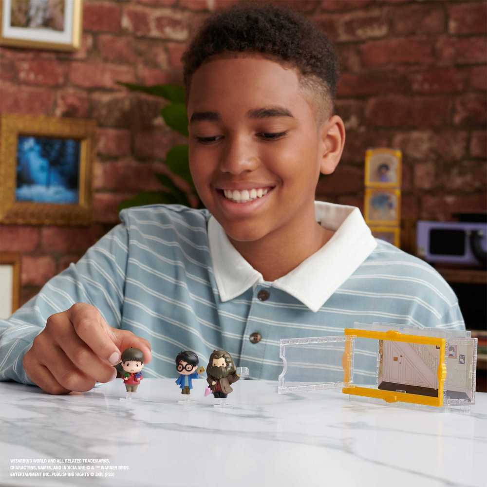 Harry Potter Micro Magical Moments Figure Set - Dudley Harry Hagrid & Display Case