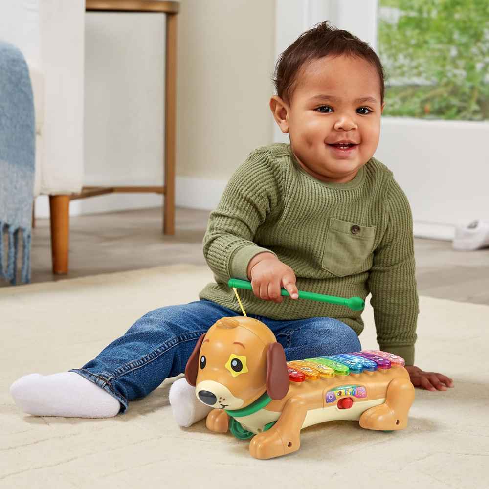 Vtech Zoo Jamz Doggy Xylophone