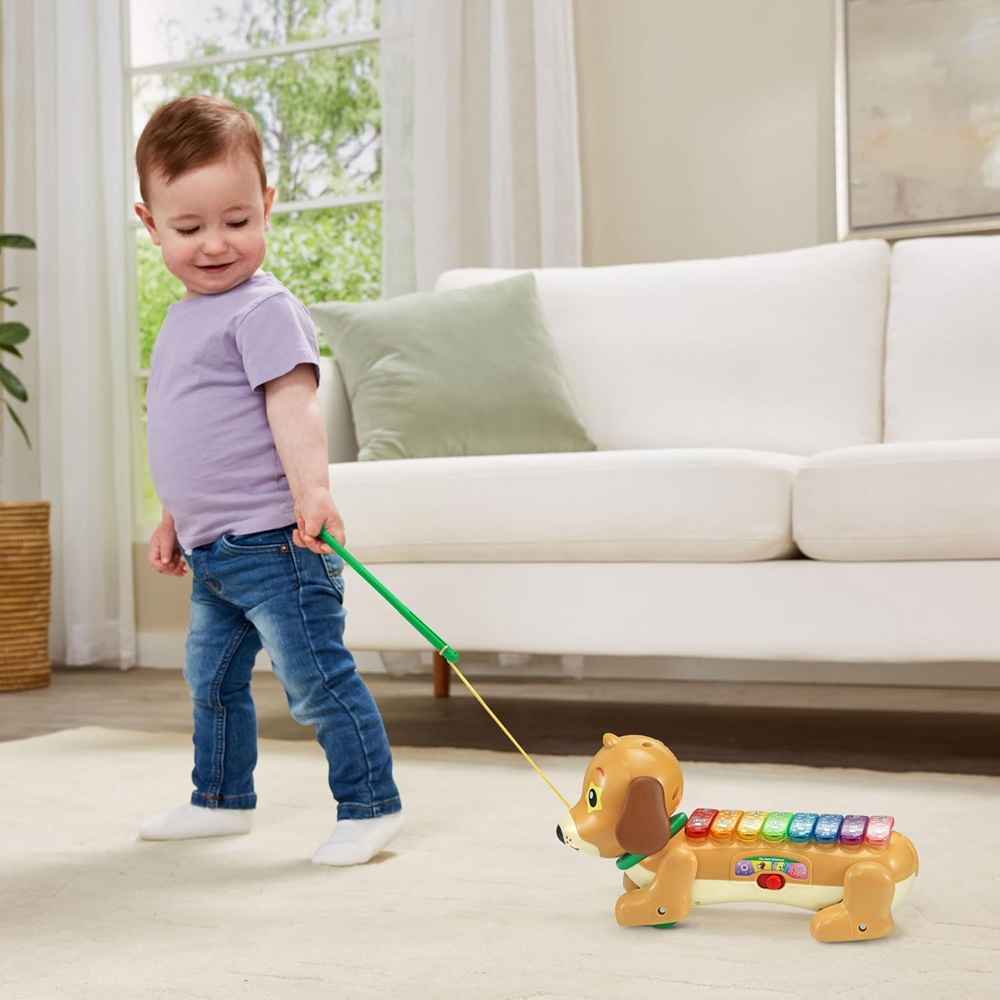Vtech Zoo Jamz Doggy Xylophone