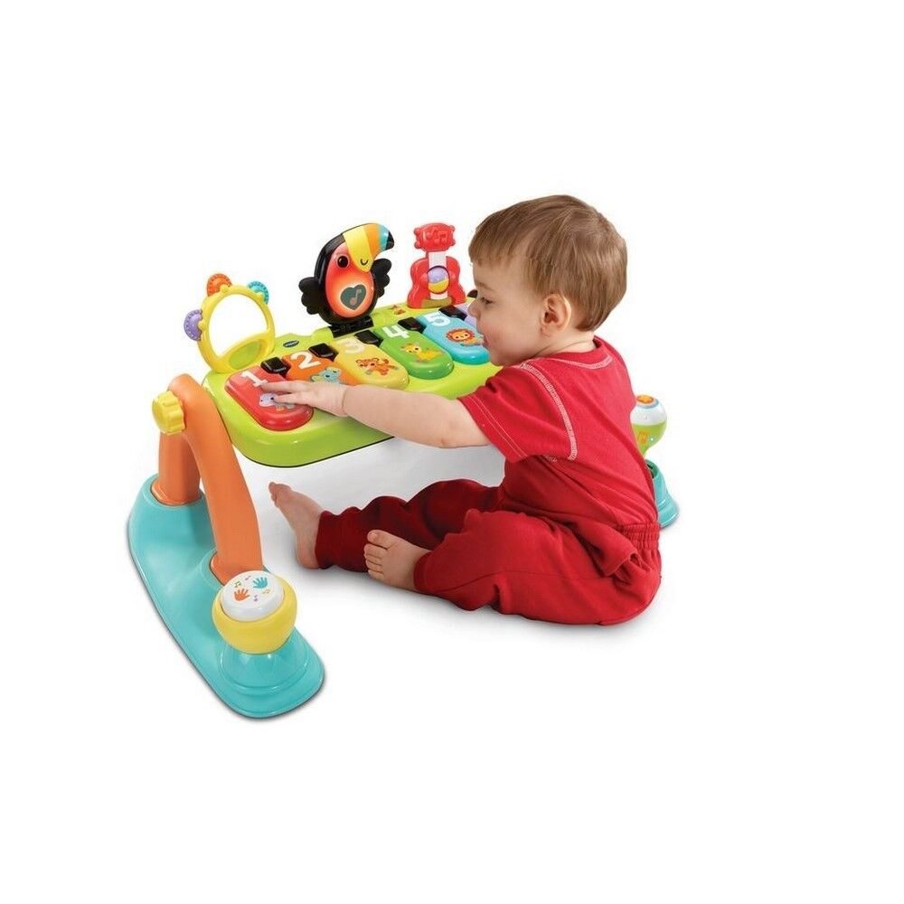 Vtech 5-in-1 Toucan Tunes Play Gym