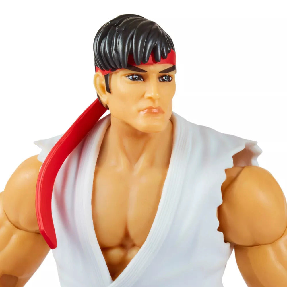 TMNT vs Street Fighter 2 pack - Leonardo & Ryu