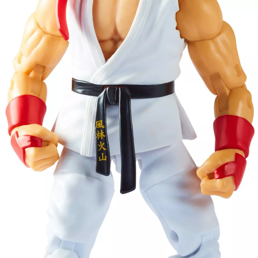 TMNT vs Street Fighter 2 pack - Leonardo & Ryu