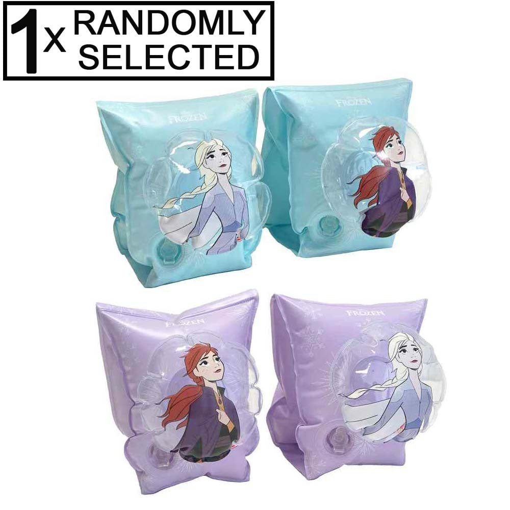 Disney Frozen Arm Bands Small Assorted