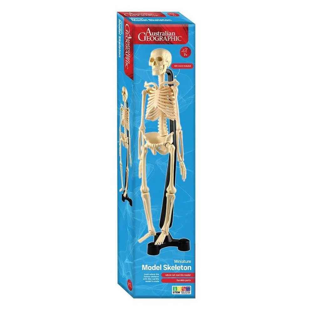 Australian Geographic - Miniature Model Skeleton