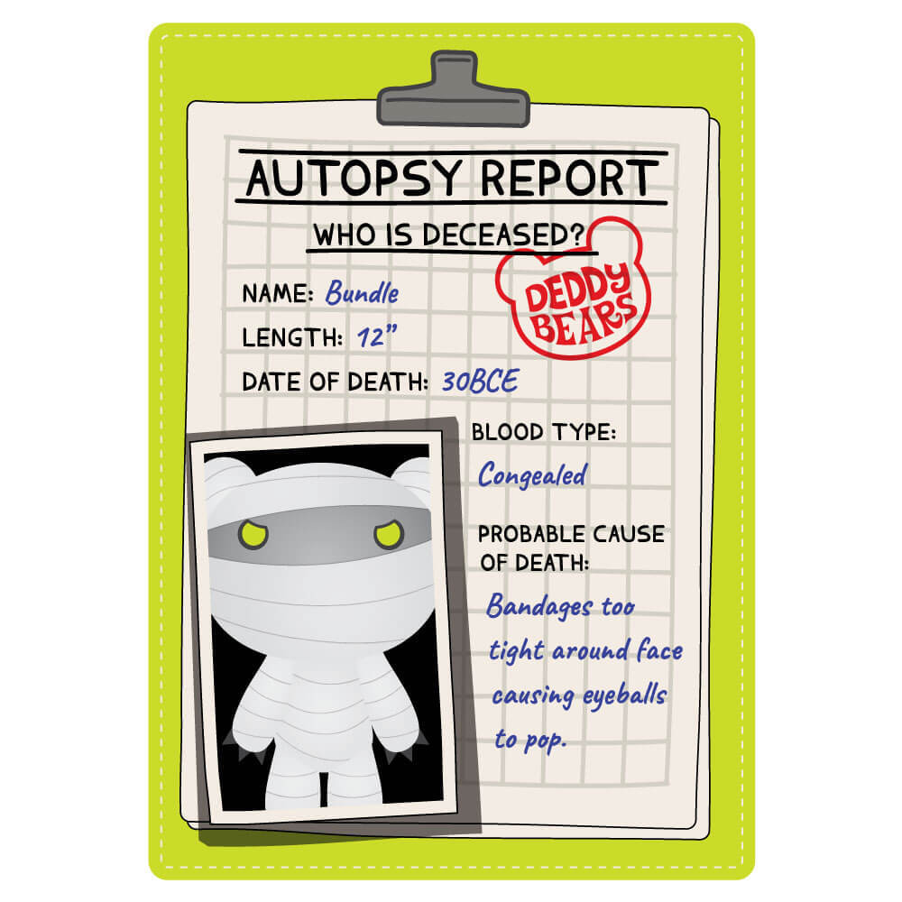 Deddy Bears Plush In Body Bag Bundle