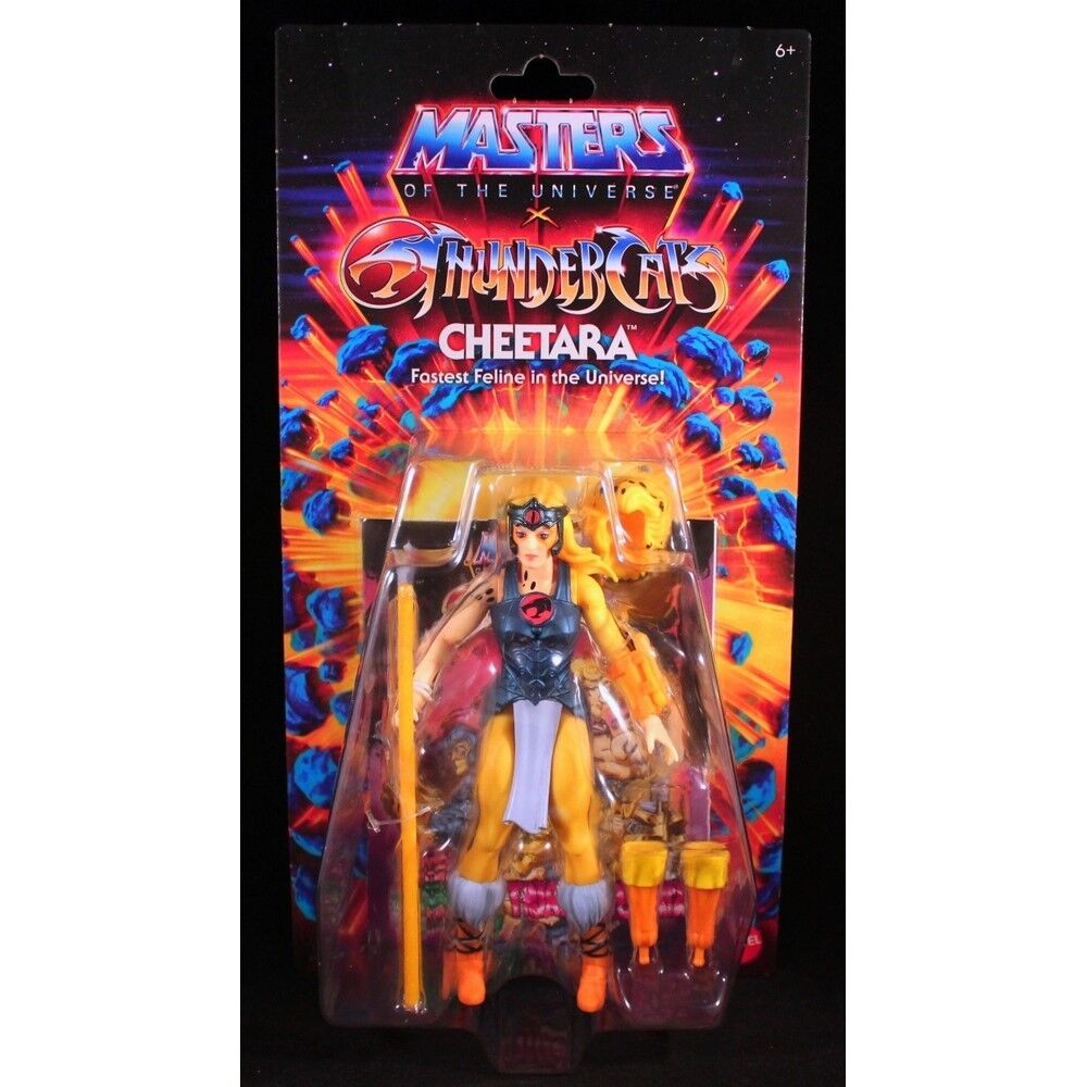 Masters Of The Universe Cheetara