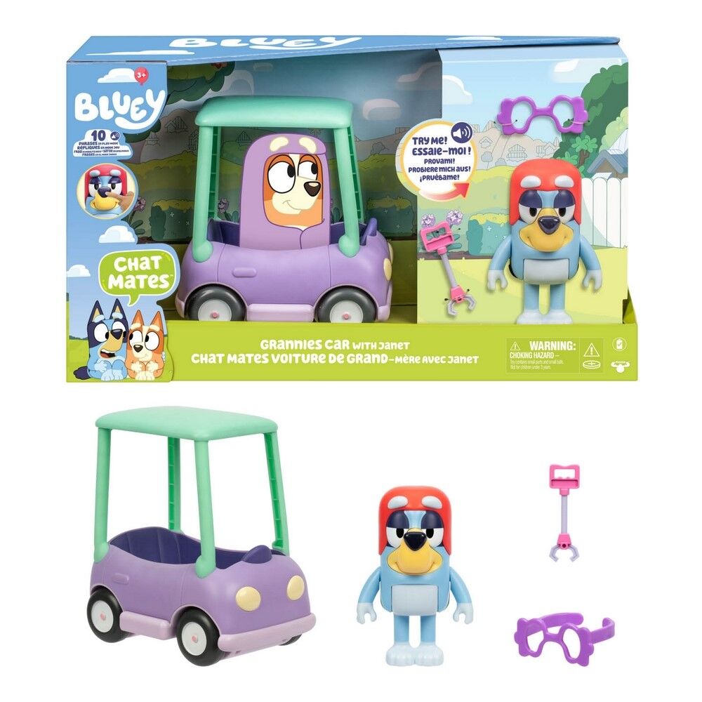 Bluey Grannies Car with Janet