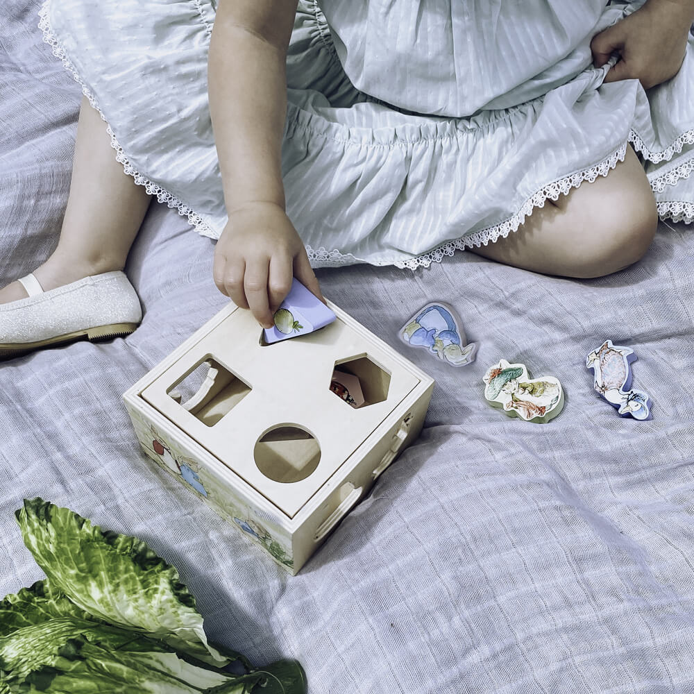 Peter Rabbit - Wooden Shape Sorter