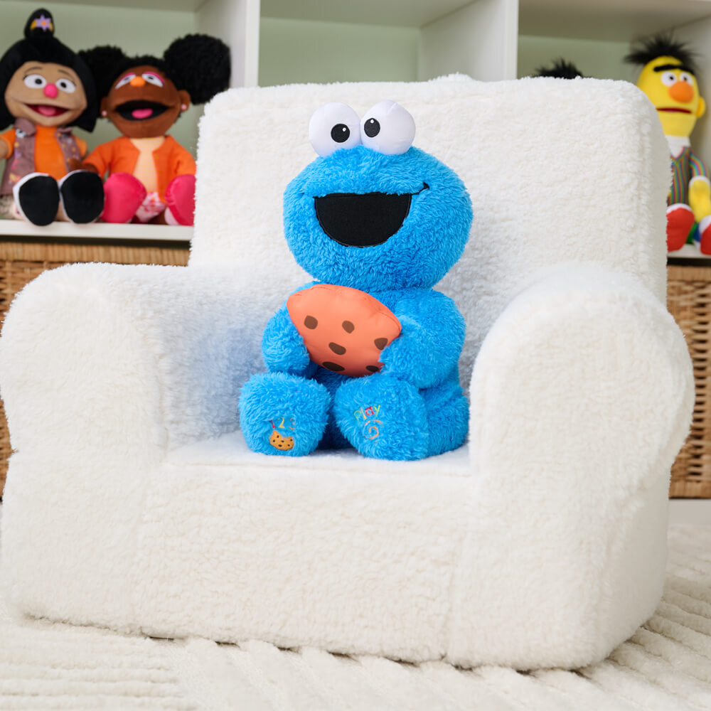 Sesame Street Peek a Boo Cookie Monster