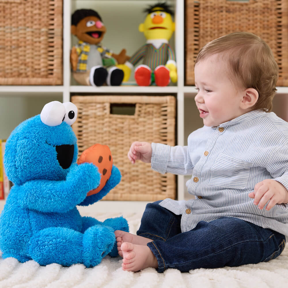 Sesame Street Peek a Boo Cookie Monster