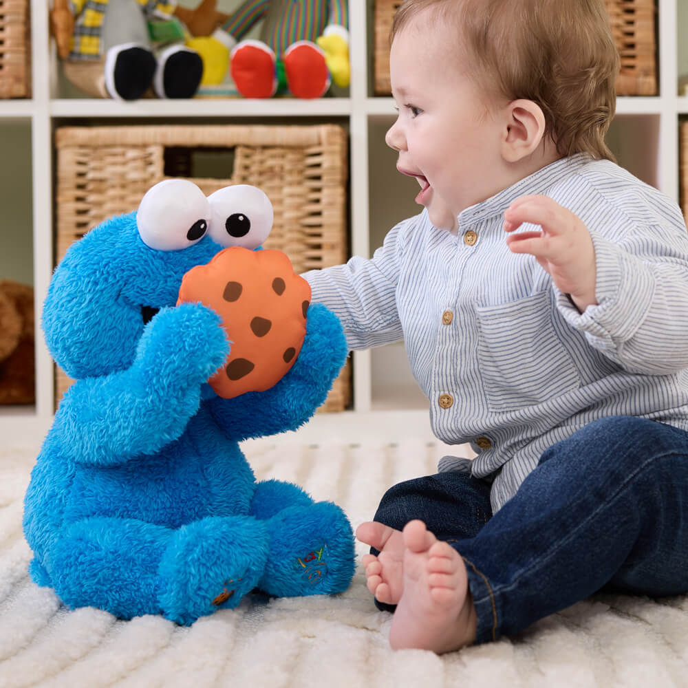 Sesame Street Peek a Boo Cookie Monster