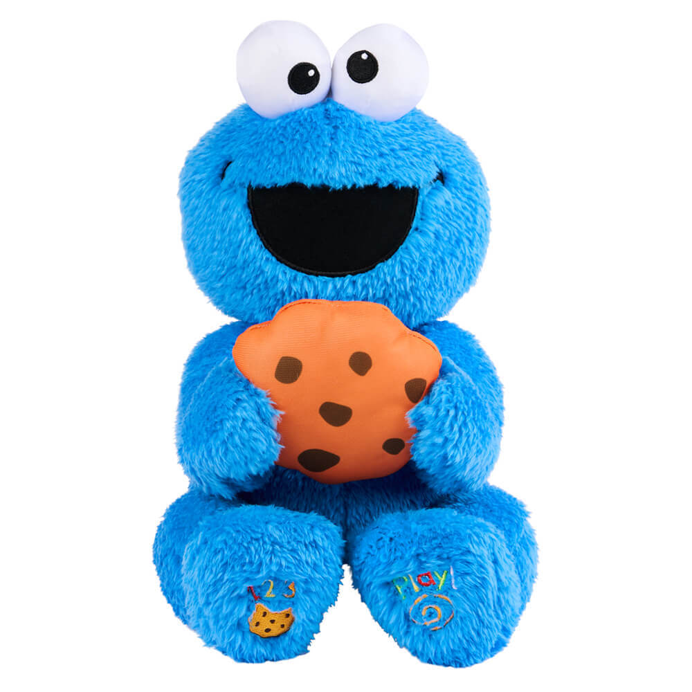 Sesame Street Peek a Boo Cookie Monster