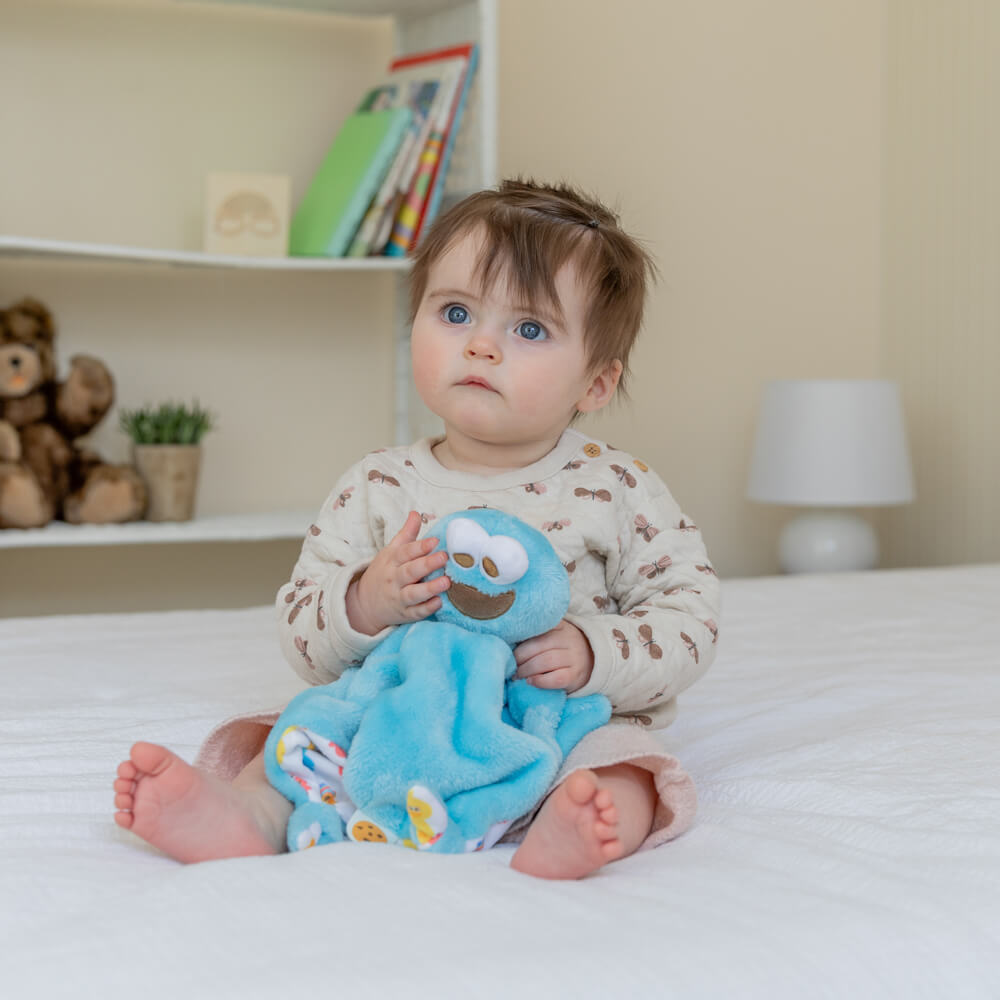 Sesame Street Babys First Blanky - Cookie Monster